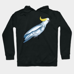 Blue Cockatoo - Australian Native Bird Hoodie